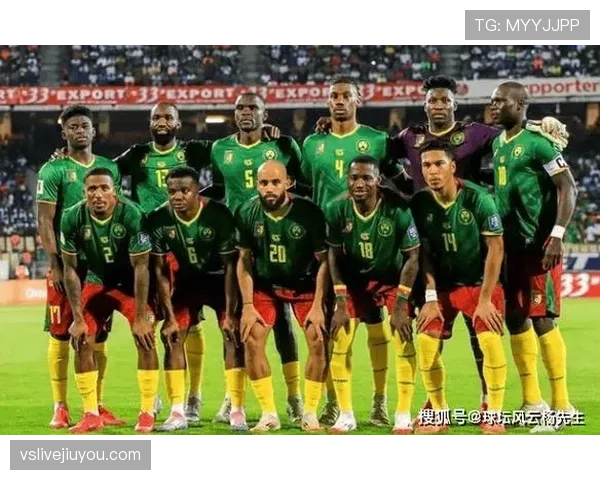 南非冲击2026世界杯：能否时隔多年重返决赛圈